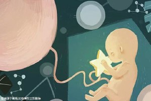 供卵代生机构
